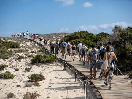 Posidonia Son Estrella Galicia